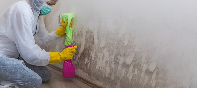 person performing mold remediation