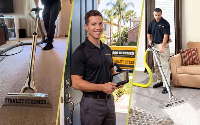 How Often Should Carpet Be Cleaned in a Humid Climate Like South Florida